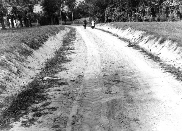 gaiba-miscellanea-001