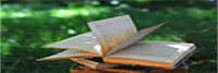foto libro 1412763878 65
